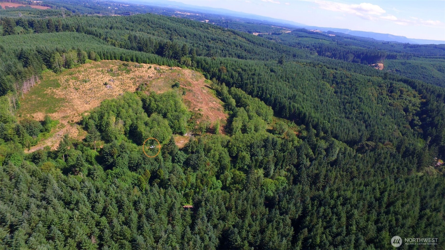 0 Sears Road Winlock, WA 98596 - Photo 19 of 21 a view of a lush green forest with a lake