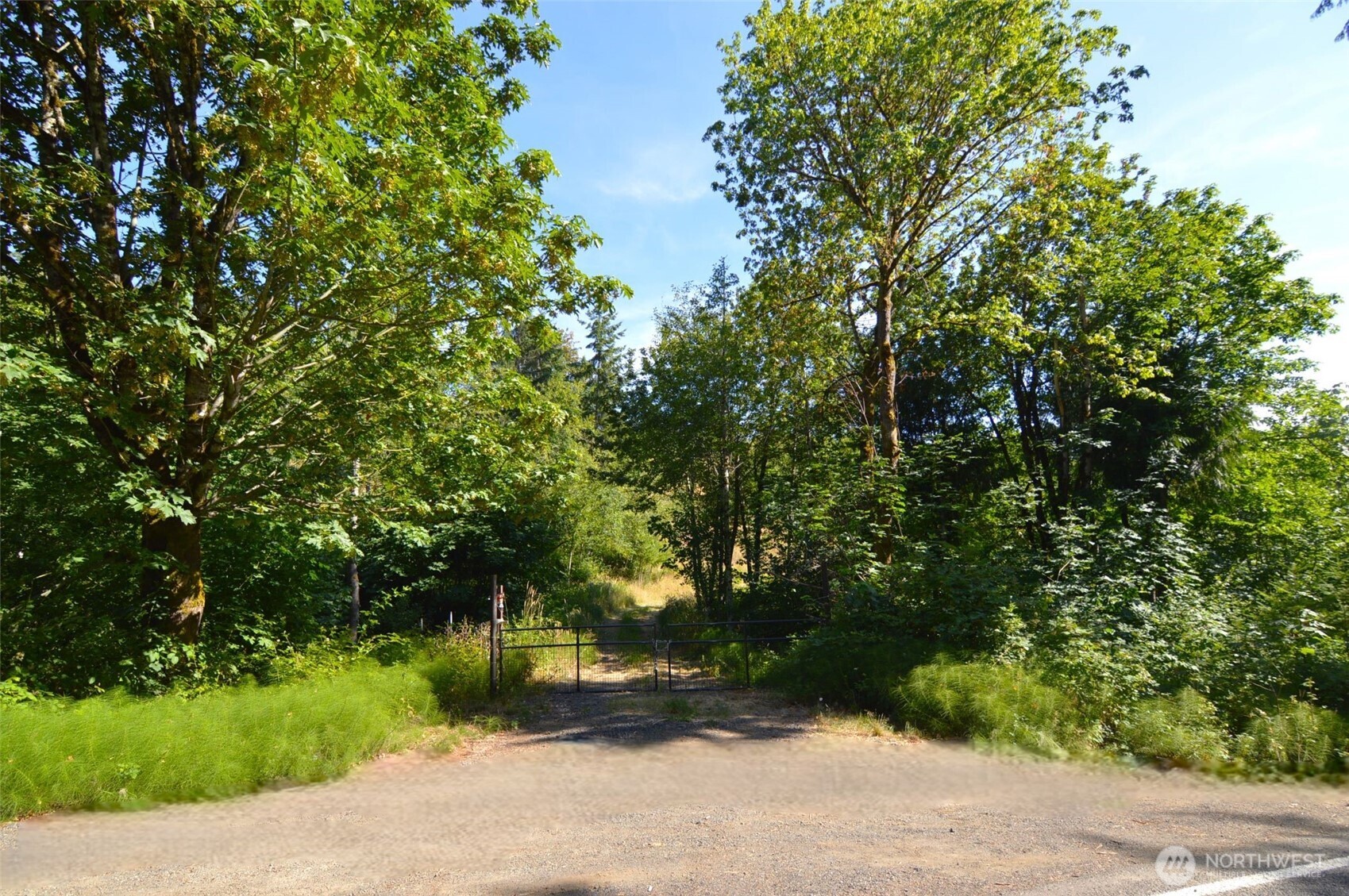 0 Sears Road Winlock, WA 98596 - Photo 3 of 21 a pathway of a yard