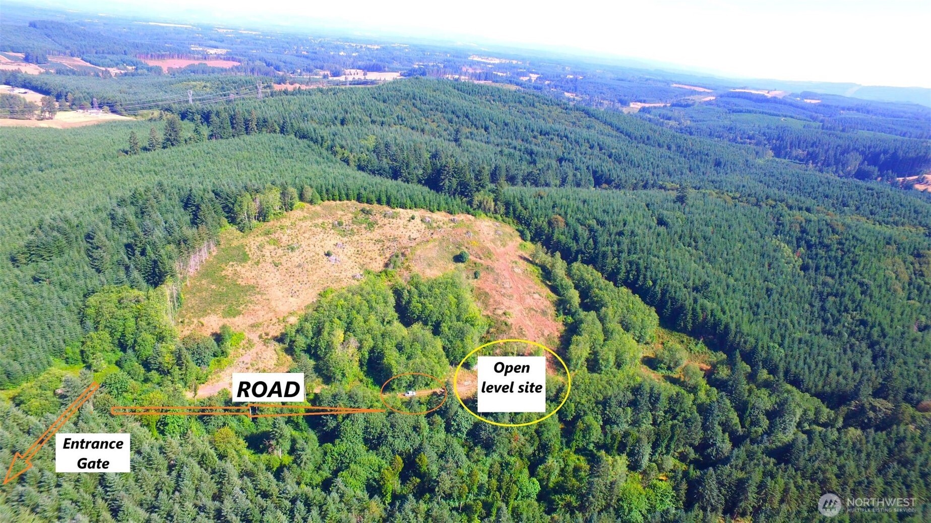 0 Sears Road Winlock, WA 98596 - Photo 5 of 21 a view of a lush green forest with houses and a yard