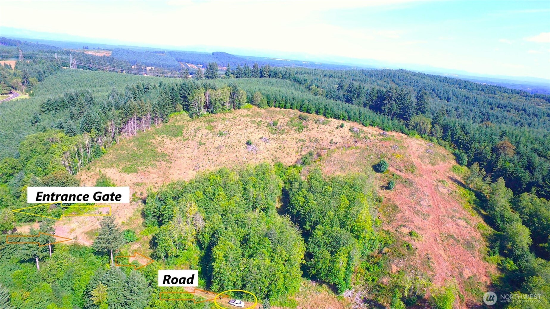 0 Sears Road Winlock, WA 98596 - Photo 6 of 21 a view of a dry yard with green space