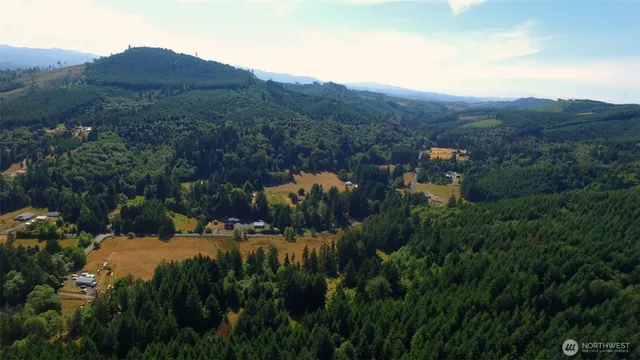 a view of a lush green hillside and a houses