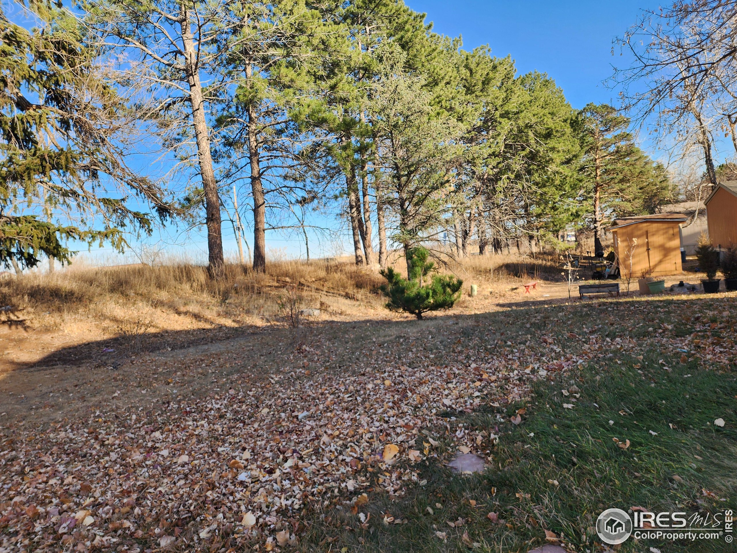 4500 19th Street, Unit 111 Boulder, CO 80304 - Photo 16 of 17 a view of dirt yard with a tree