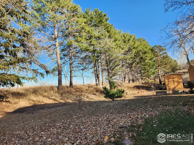 a view of a yard with plants and trees