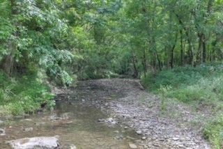 2225 Liberty Valley Road Belfast, TN 37019 - Photo 6 of 29 Gallery Image 6