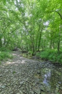 2225 Liberty Valley Road Belfast, TN 37019 - Photo 7 of 29 Gallery Image 7