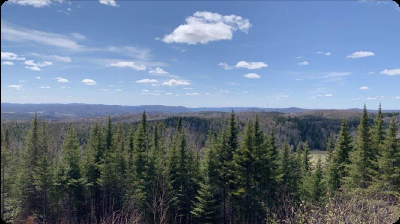 739 Charette Hill Road Fort Kent, ME 04743 - Photo 18 of 29 View