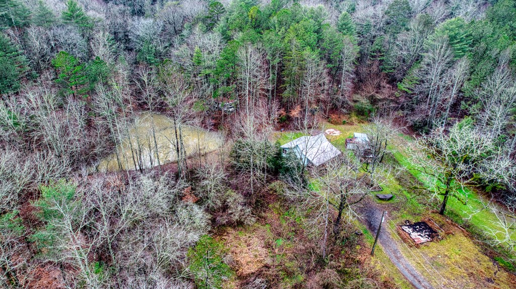 628 Seth Hyatt Road Ellijay, GA 30540 - Photo 35 of 63 Gallery Image 35
