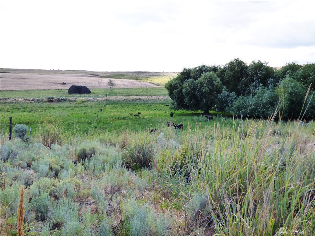 2359 North Division Road Northwest Bridgeport, WA 98813 - Photo 23 of 24 Gallery Image 23
