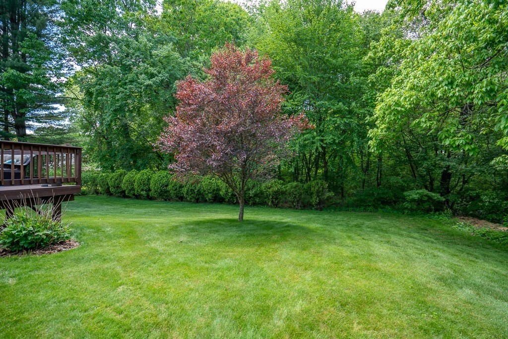 162 West Autumn Road West Springfield, MA 01089 - Photo 40 of 41 a view of a house with a backyard