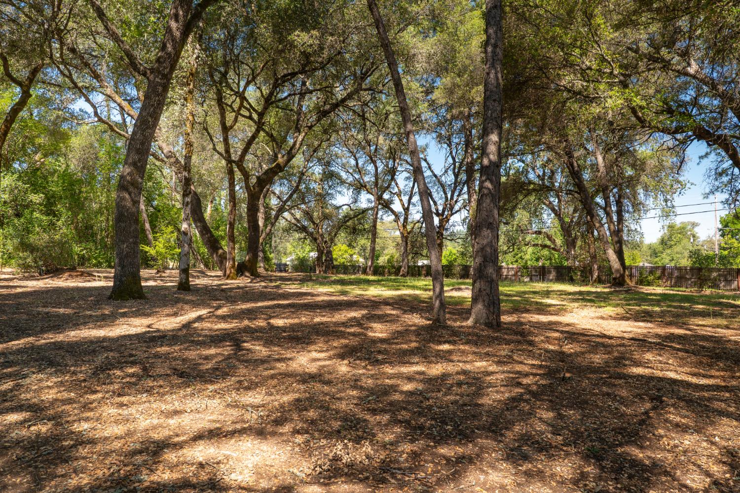 10875 Spenceville Road Penn Valley, CA 95946 - Photo 44 of 49 a view of road with trees