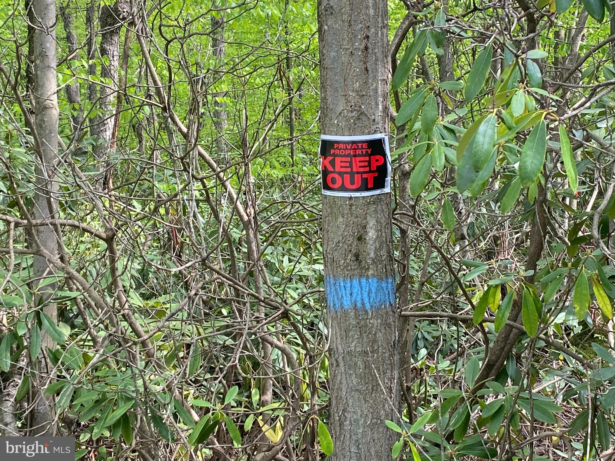 Lot 3 Deer Run Road Oakland, MD 21550 - Photo 4 of 11 a sign that is sitting in front of a tree