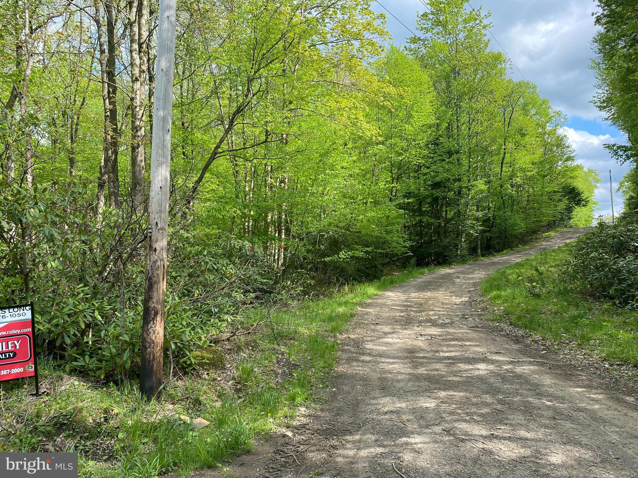 Lot 3 Deer Run Road Oakland, MD 21550 - Photo 5 of 11 a view of path along with trees
