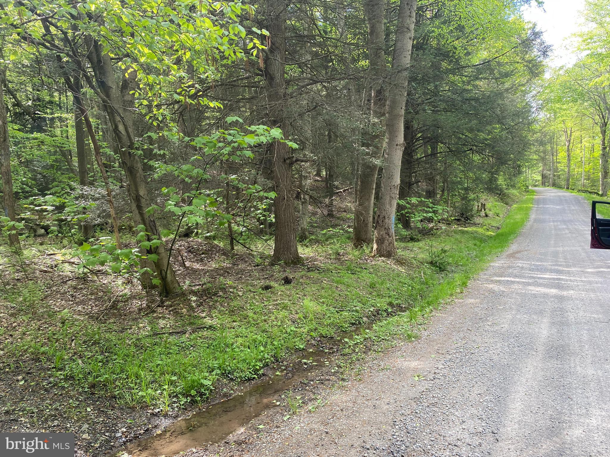Lot 3 Deer Run Road Oakland, MD 21550 - Photo 8 of 11 a big yard with lots of green space and trees
