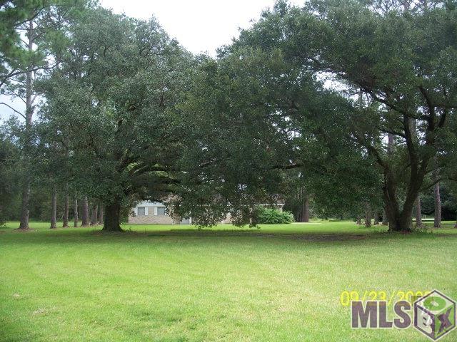 461 Bayou Dularge Road Houma, LA 70363 - Photo 1 of 1 Gallery Image 1
