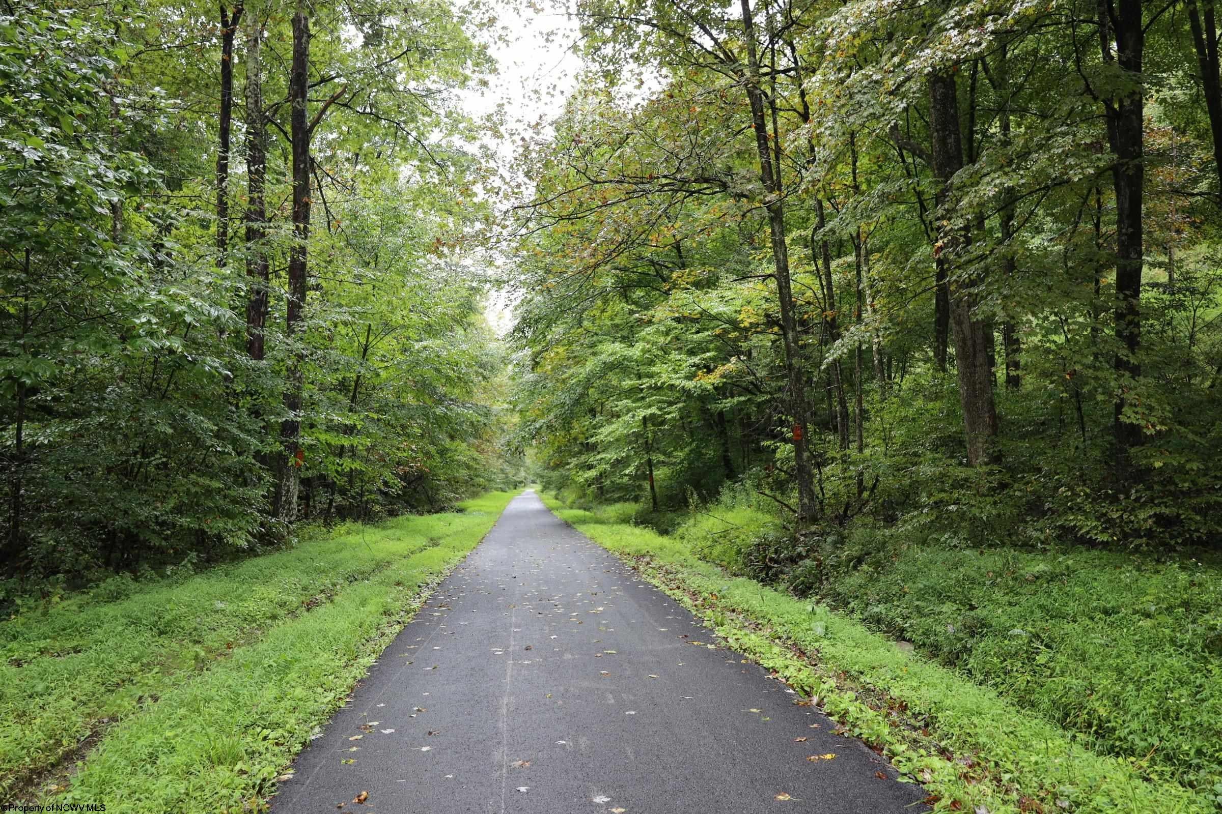 Tbd Bull Run Road Parsons, WV 26287 - Photo 10 of 21 Gallery Image 10