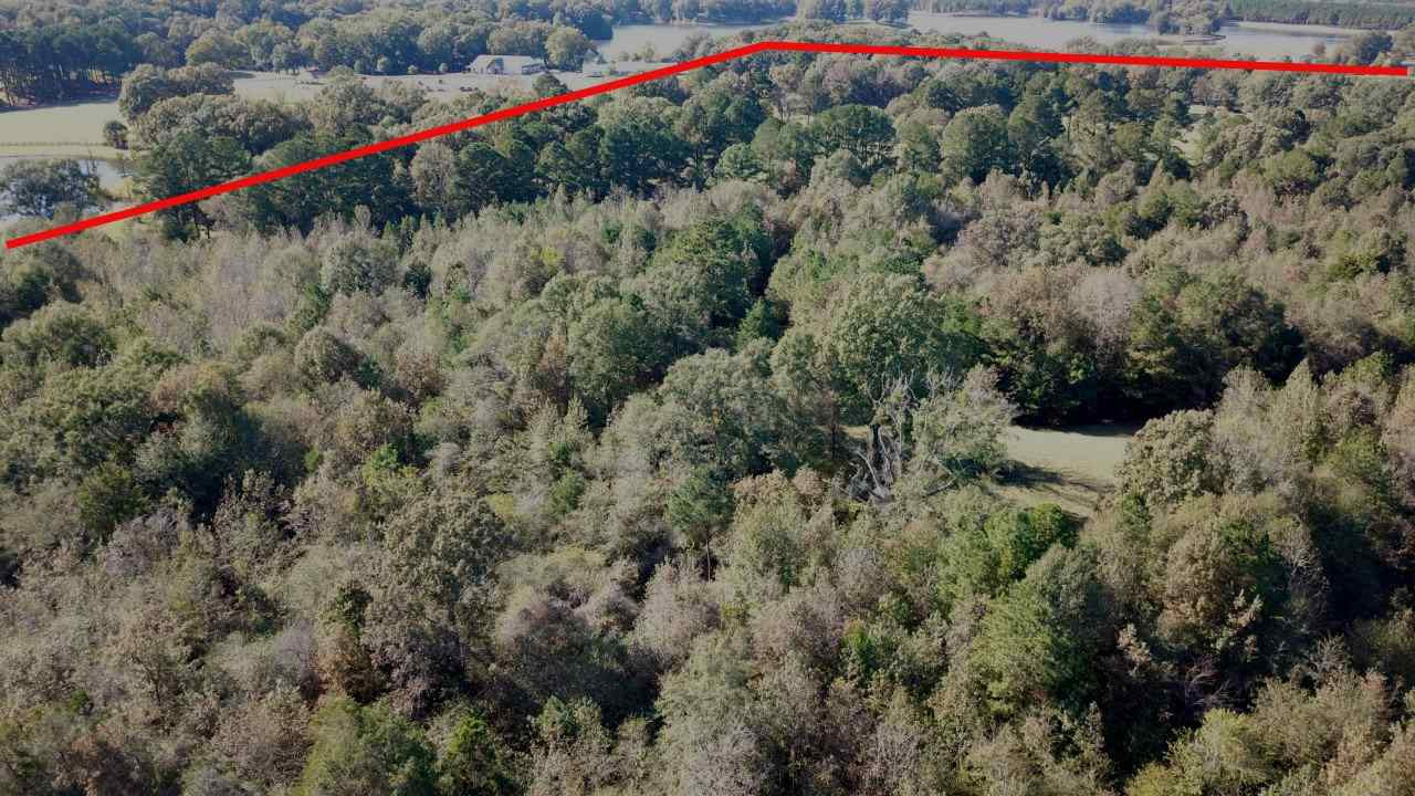 274 Carsley Road Jackson, MS 39209 - Photo 3 of 6 Photo 3