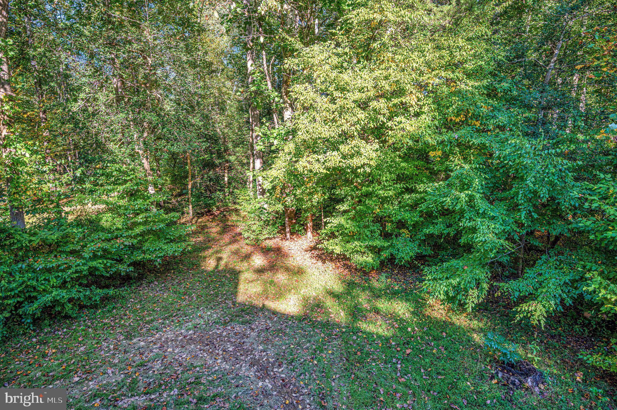 211 Battlefield Road Locust Grove, VA 22508 - Photo 41 of 57 The view of trees from your deck