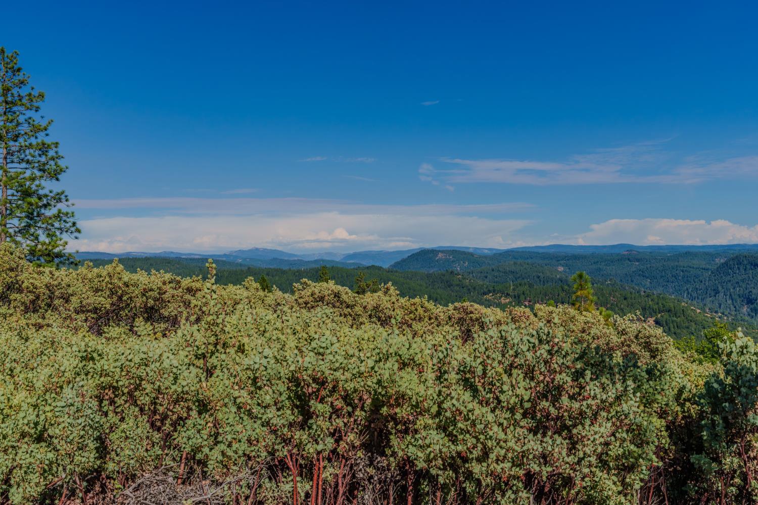 0 Silver Point Pioneer, CA 95666 - Photo 20 of 26