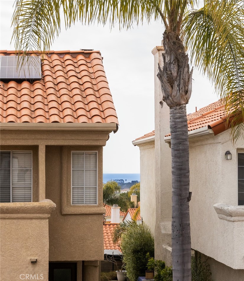 20 St Michael Dana Point, CA 92629 - Photo 21 of 43 a view of a white house next to a yard with potted plants
