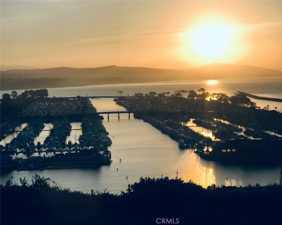 20 St Michael Dana Point, CA 92629 - Photo 41 of 43 an aerial view of ocean and residential houses with outdoor space