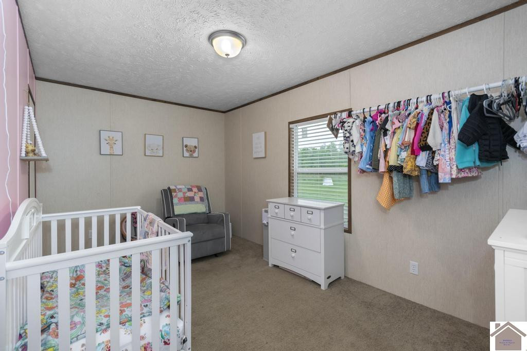 2619 Wickliffe Road Wickliffe, KY 42087 - Photo 18 of 19 Photo 18