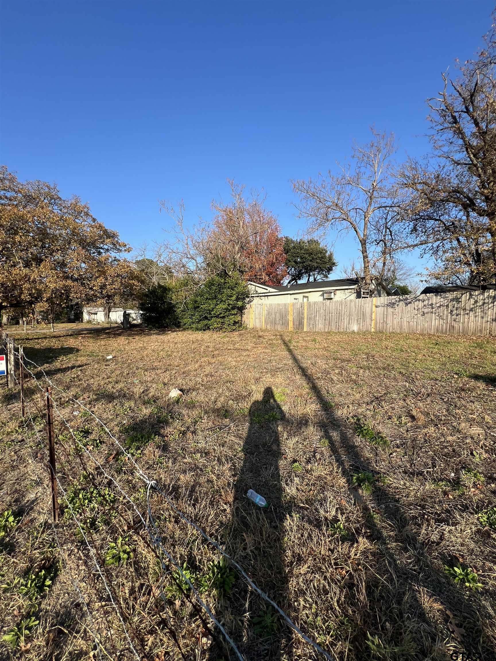 2808 Bunche Street Tyler, TX 75701 - Photo 3 of 3 a view of lake view and mountain view