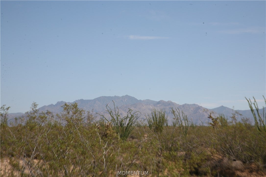 243-15-016 South Custer Road, Unit 3491 Yucca, AZ 86438 - Photo 29 of 61 Gallery Image 29