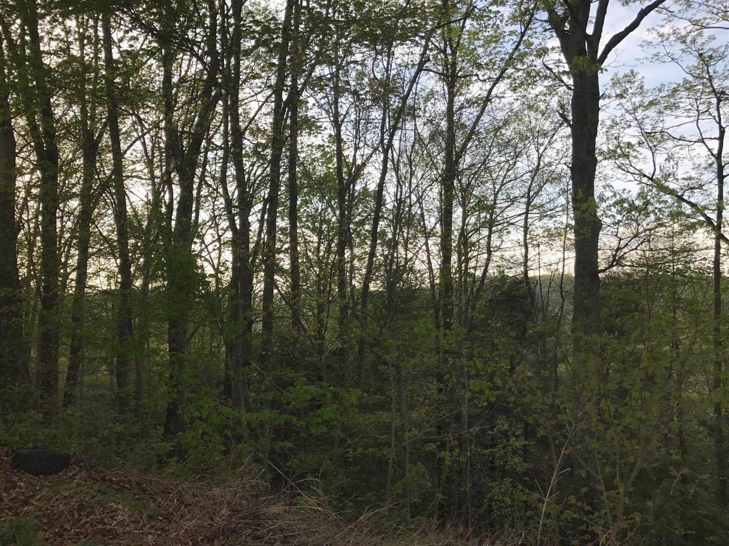 766 Steve Combs Road Wellington, KY 40387 - Photo 32 of 33 Photo 32
