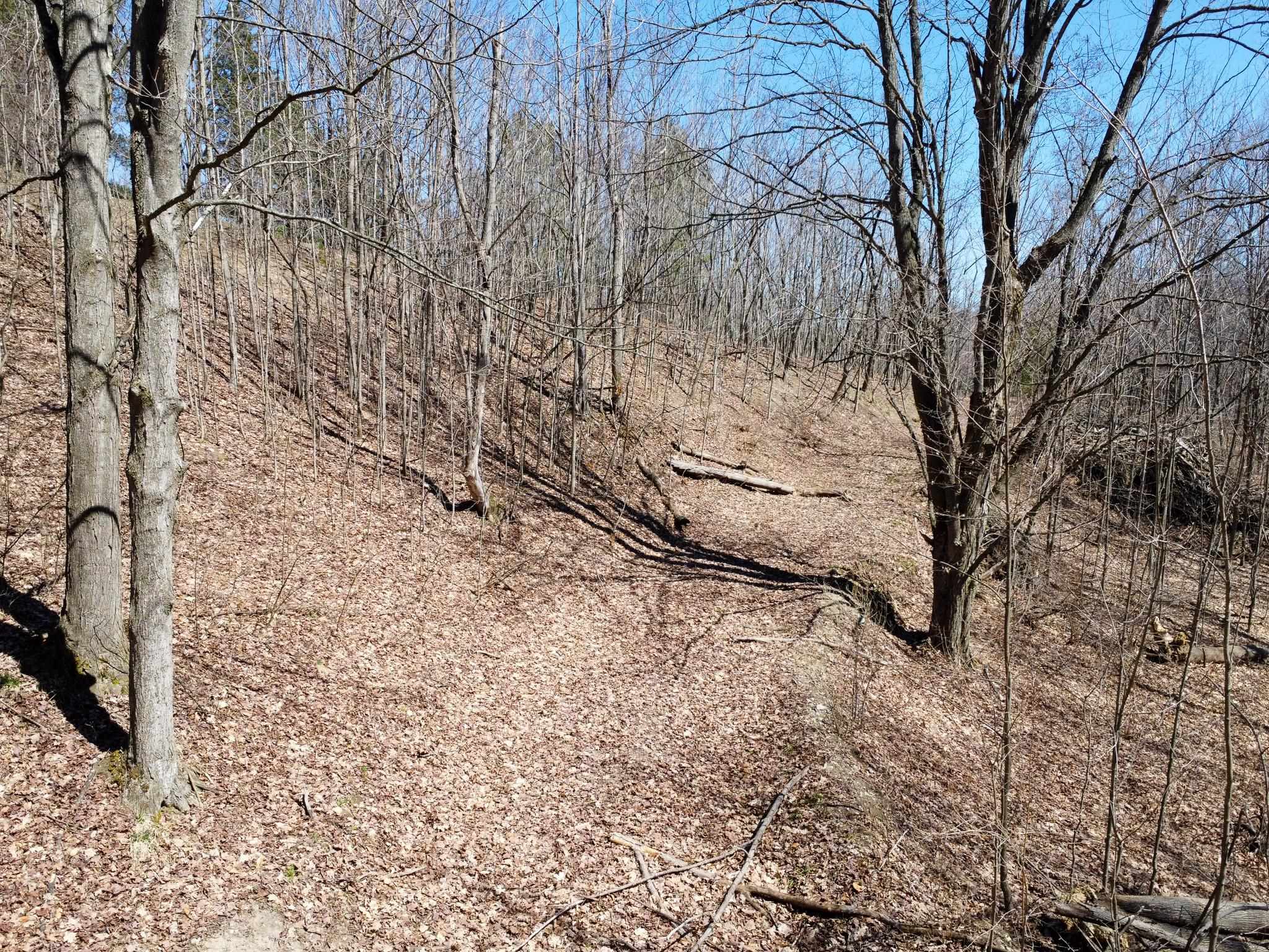 0 East Smiseth Road Suttons Bay, MI 49682 - Photo 36 of 67