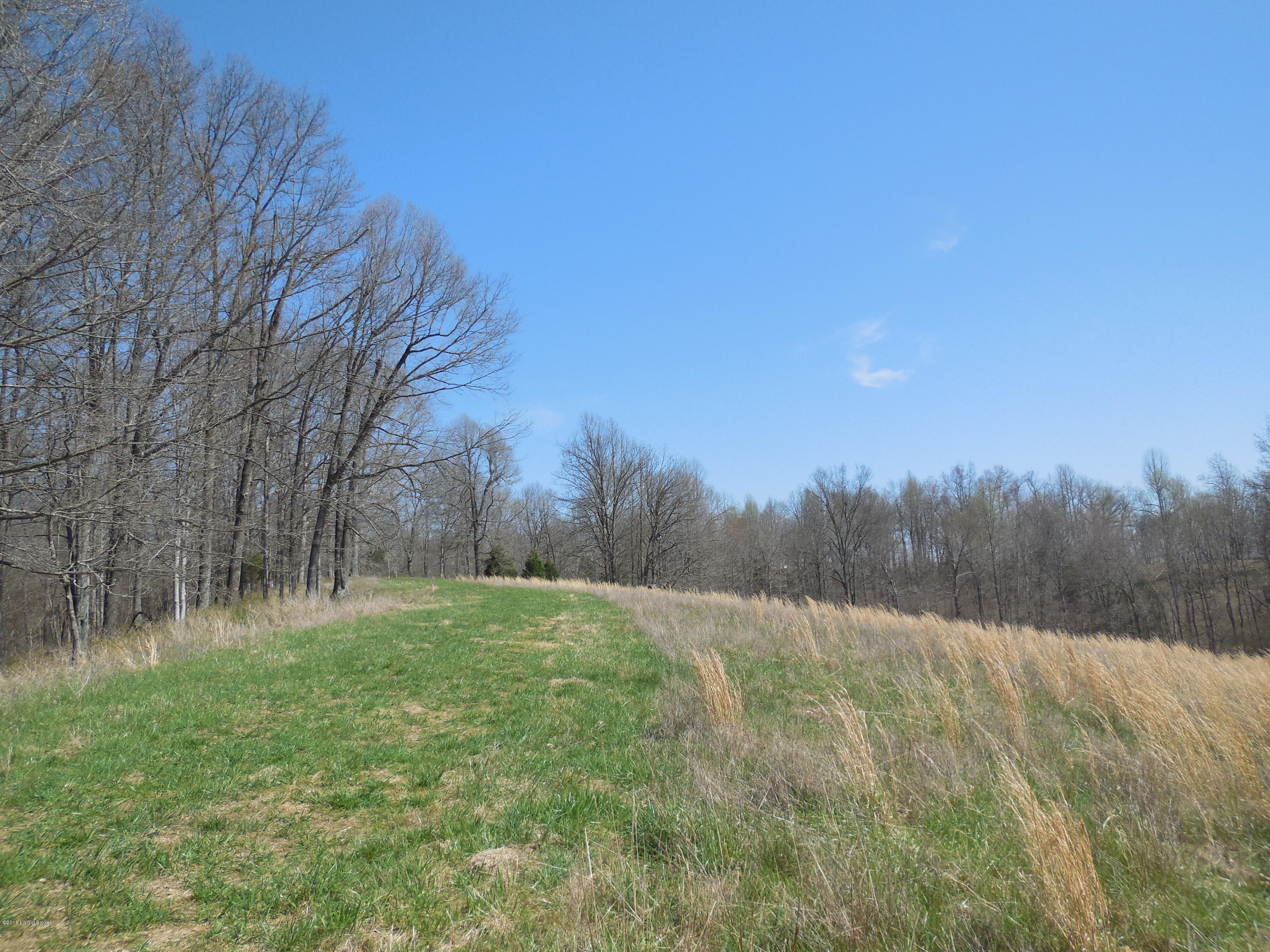 1 Hibera Ridge Road Buffalo, KY 42716 - Photo 4 of 11 202