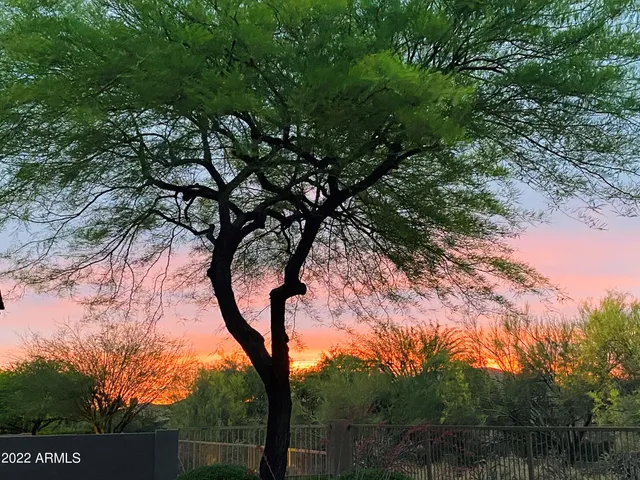 $8,000 | 7020 East Mighty Saguaro Way, Scottsdale, AZ 85266