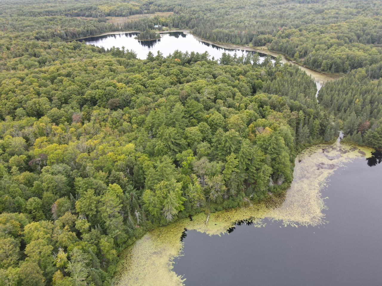 Tbd Grace Lake Road, Unit 15 Watersmeet, MI 49969 - Photo 8 of 11 Gallery Image 8