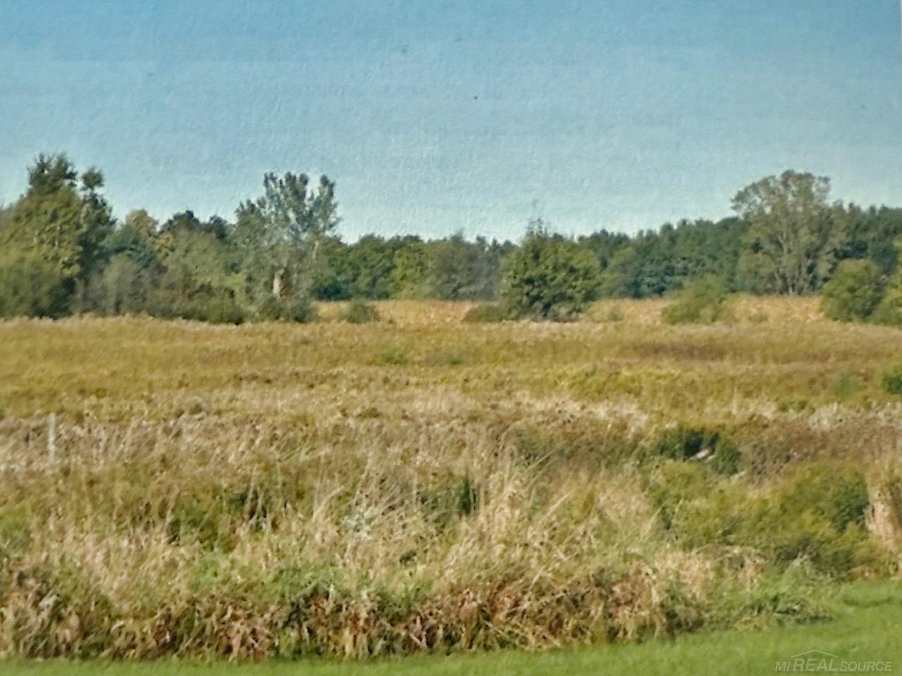 1750 Mushroom Road Snover, MI 48472 - Photo 25 of 29