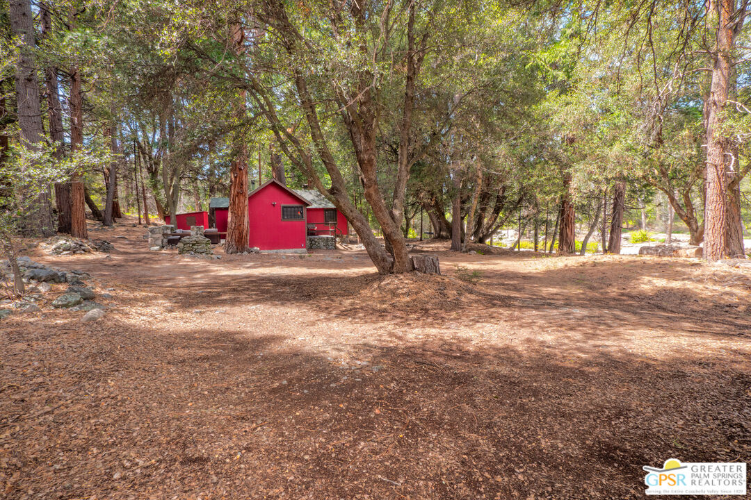 76 7 Oaks Road Angelus Oaks, CA 92305 - Photo 29 of 35 a view of park