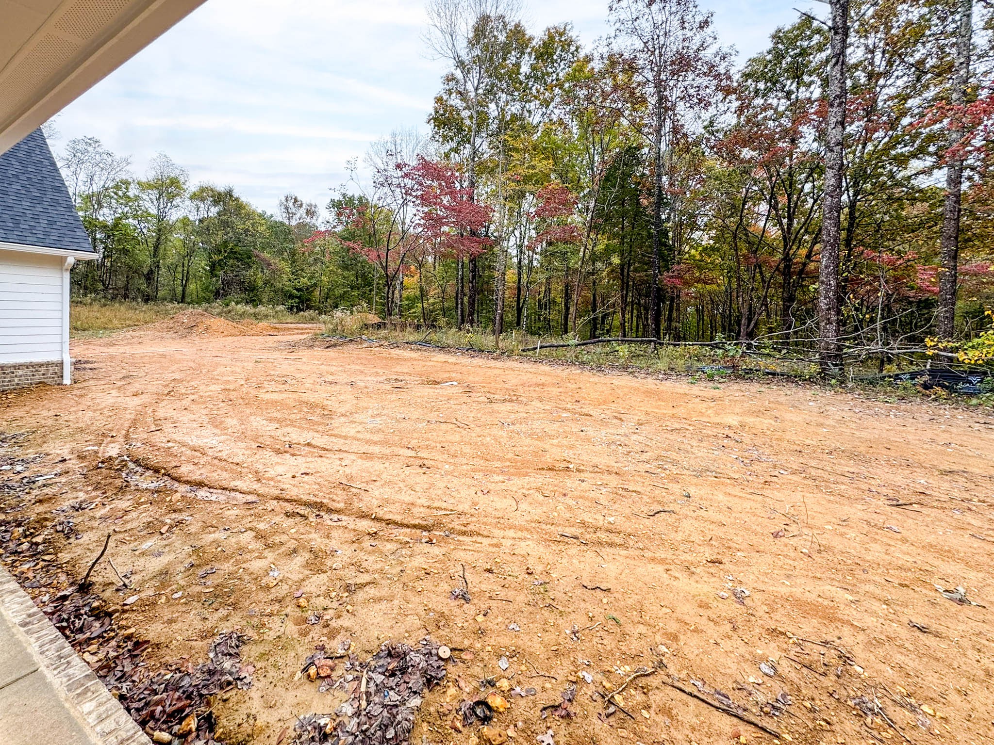 0 Barnhill Road Primm Springs, TN 38476 - Photo 11 of 38 a view of empty room