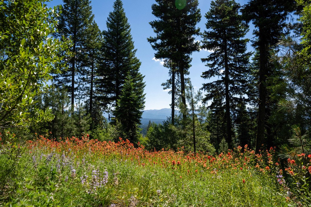 645 Migratory Rdg Way, Unit 79 McCall, ID 83638 - Photo 3 of 5