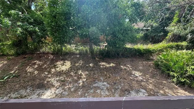a view of a yard with plants and large trees