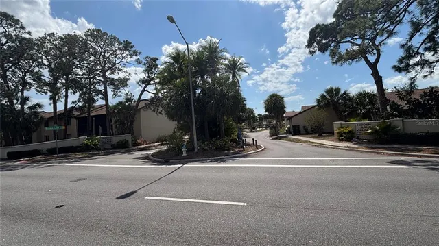 a view of street with potted plants and palm trees