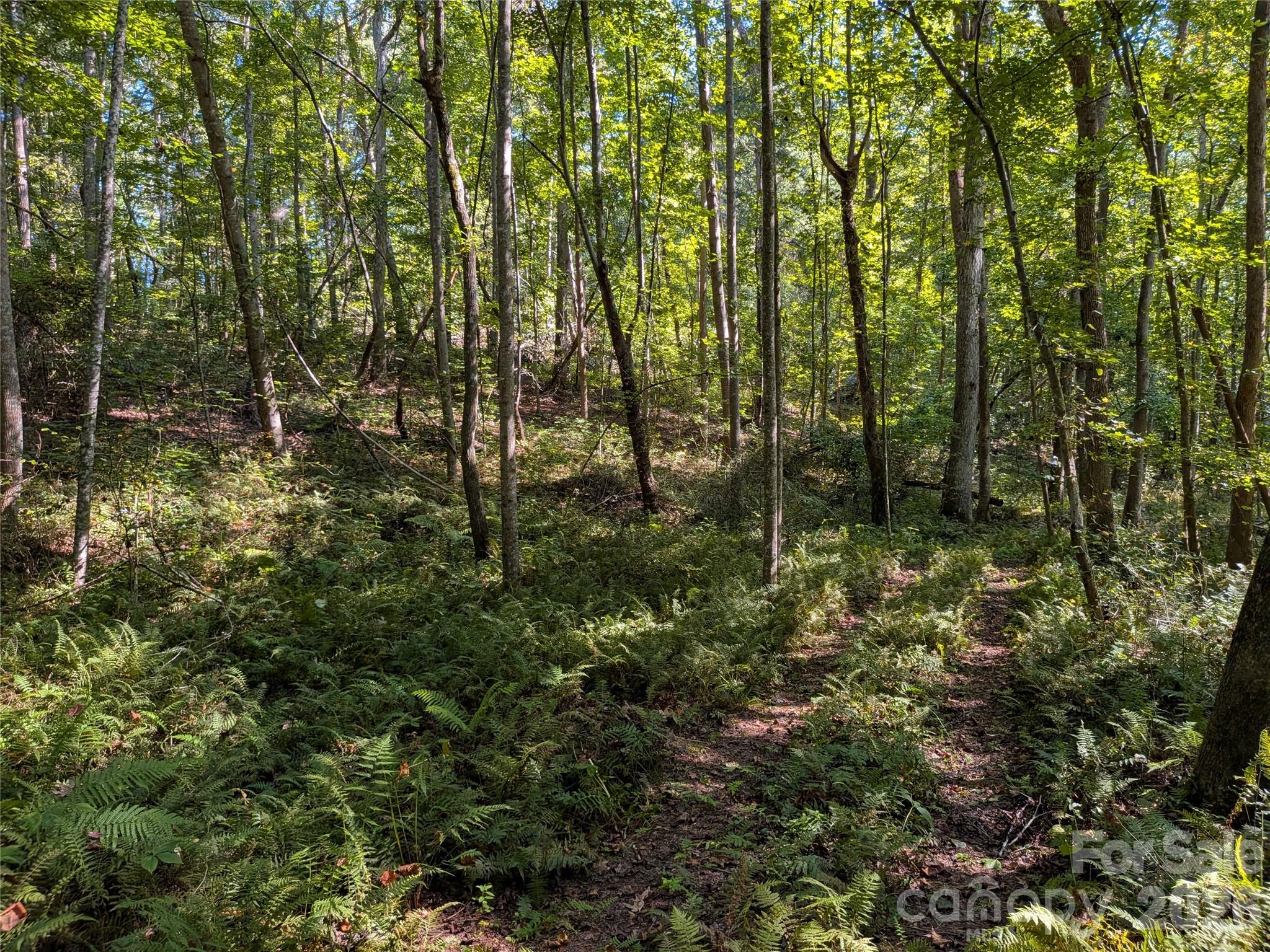 16-acres Dan Rhyne Road Vale, NC 28168 - Photo 23 of 33 Gallery Image 23