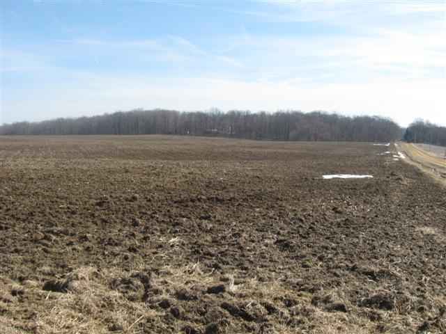 Tba Tba Timber Lane Road Elizabeth, IL 61028 - Photo 1 of 1