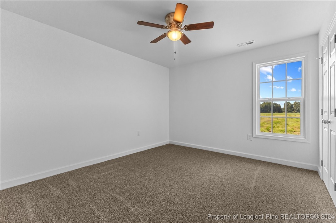 1314 Chason Road Lumber Bridge, NC 28357 - Photo 33 of 42 Gallery Image 33
