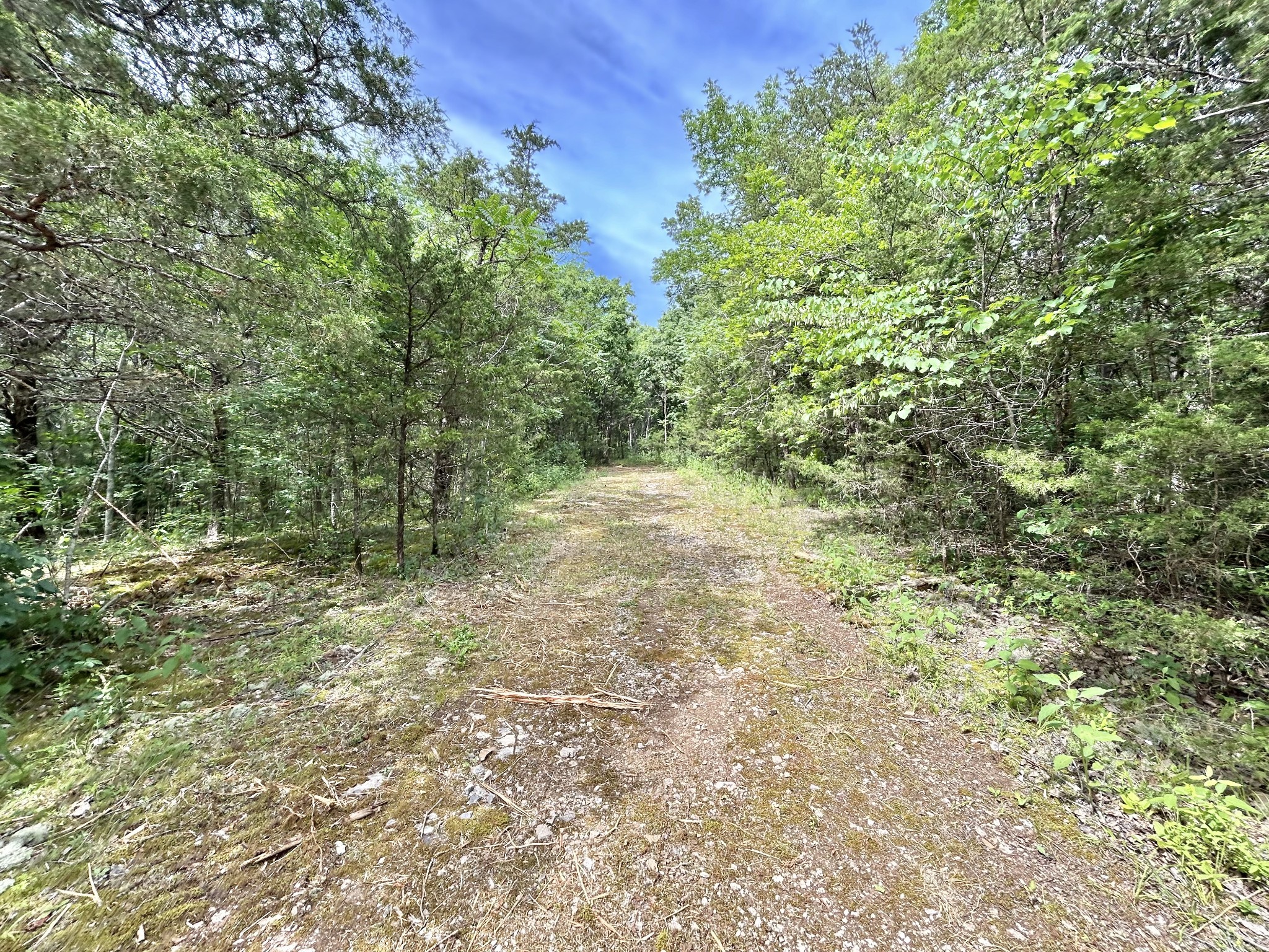 3 Whippoorwill Road Lebanon, TN 37090 - Photo 17 of 29
