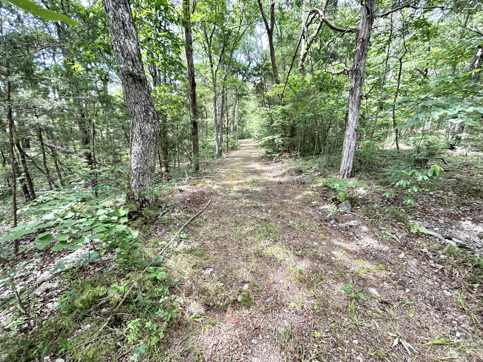 3 Whippoorwill Road Lebanon, TN 37090 - Photo 18 of 29