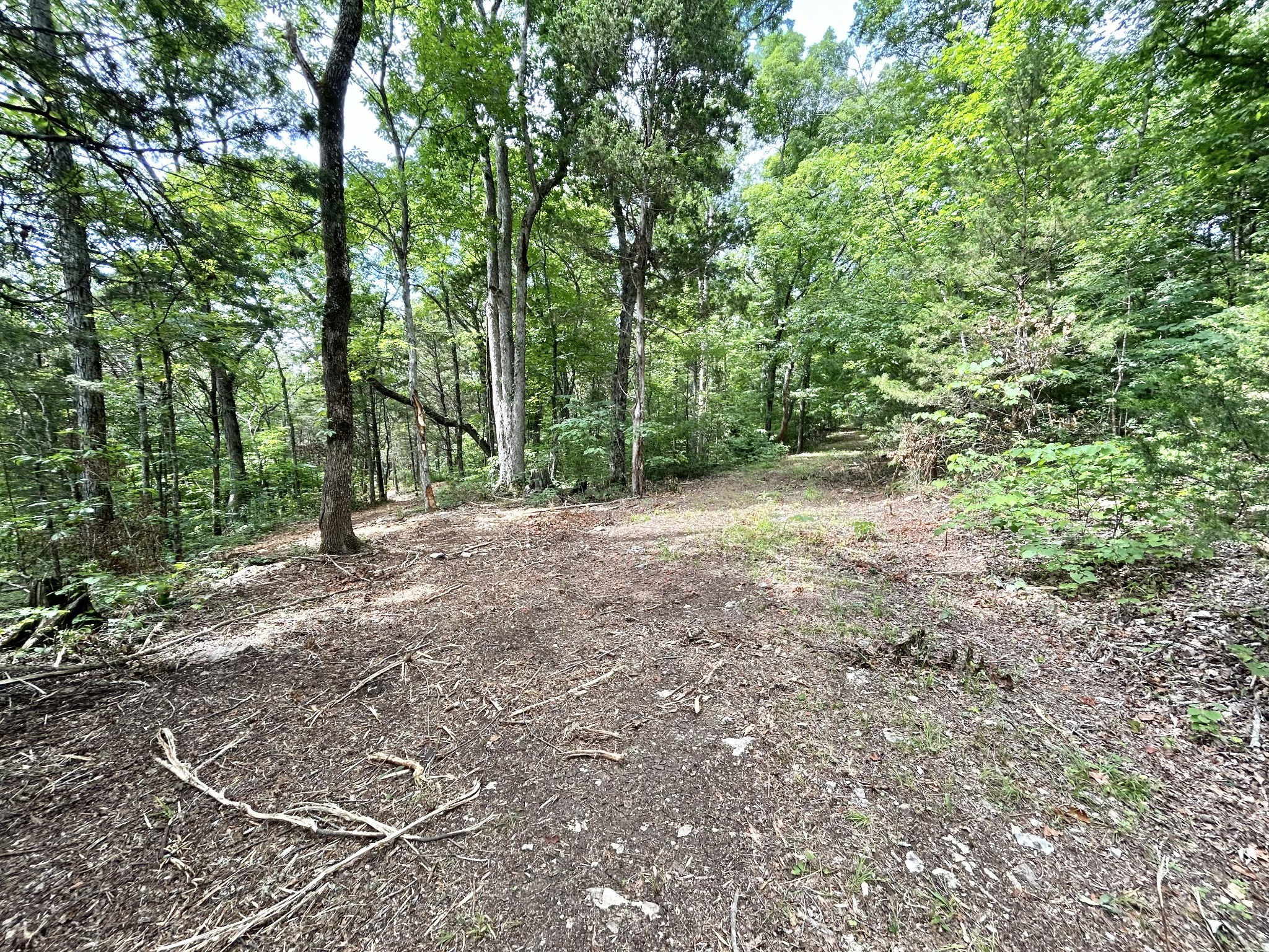 3 Whippoorwill Road Lebanon, TN 37090 - Photo 19 of 29