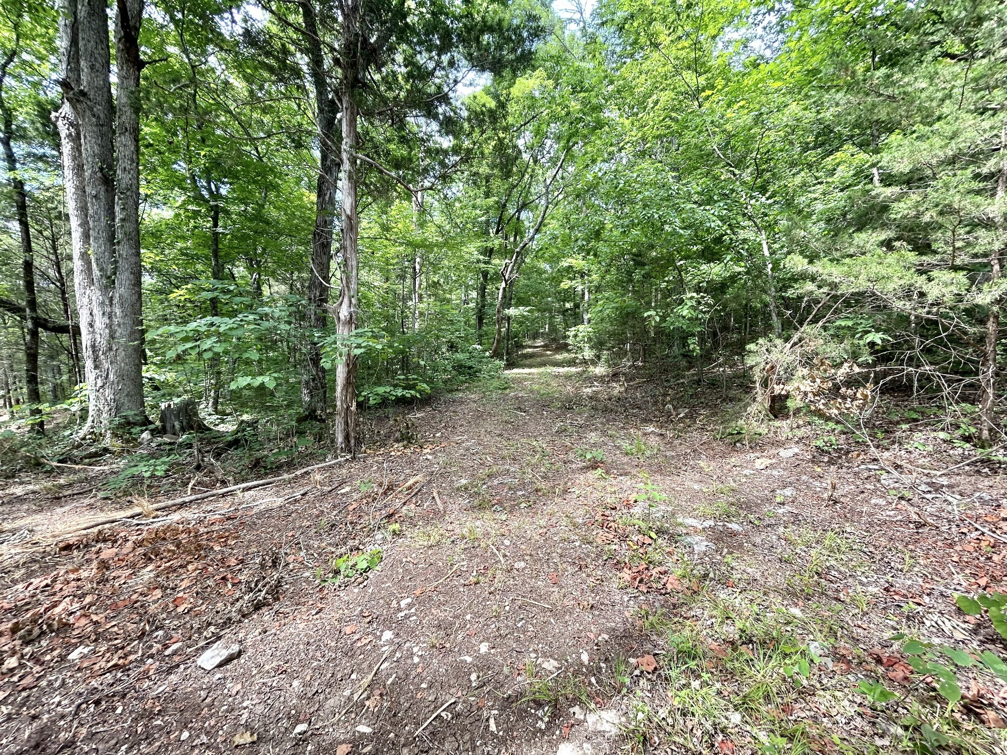 3 Whippoorwill Road Lebanon, TN 37090 - Photo 20 of 29
