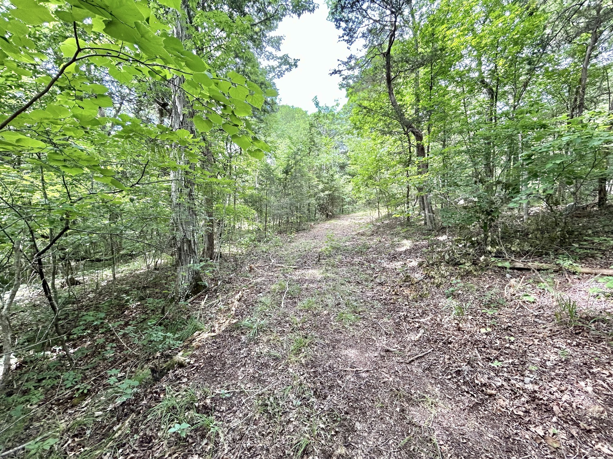 3 Whippoorwill Road Lebanon, TN 37090 - Photo 21 of 29