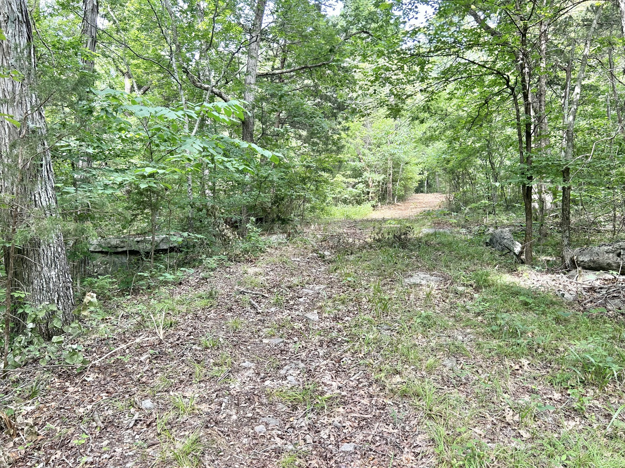3 Whippoorwill Road Lebanon, TN 37090 - Photo 22 of 29
