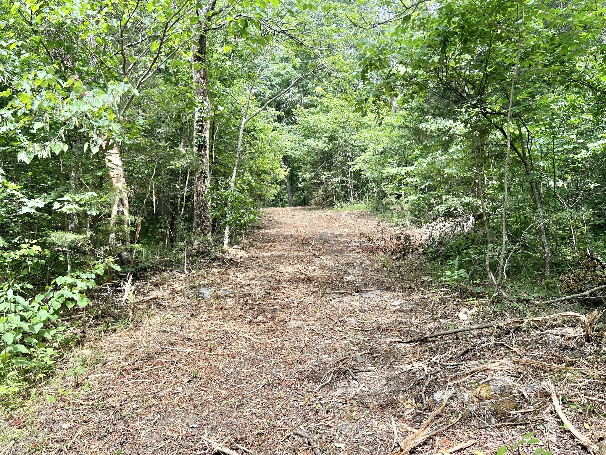 3 Whippoorwill Road Lebanon, TN 37090 - Photo 23 of 29