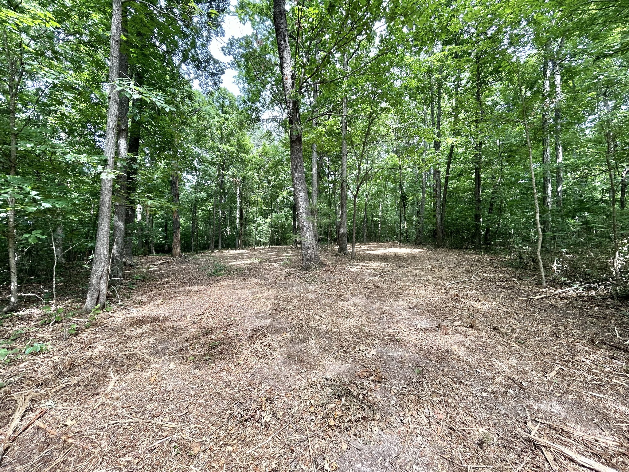 3 Whippoorwill Road Lebanon, TN 37090 - Photo 24 of 29