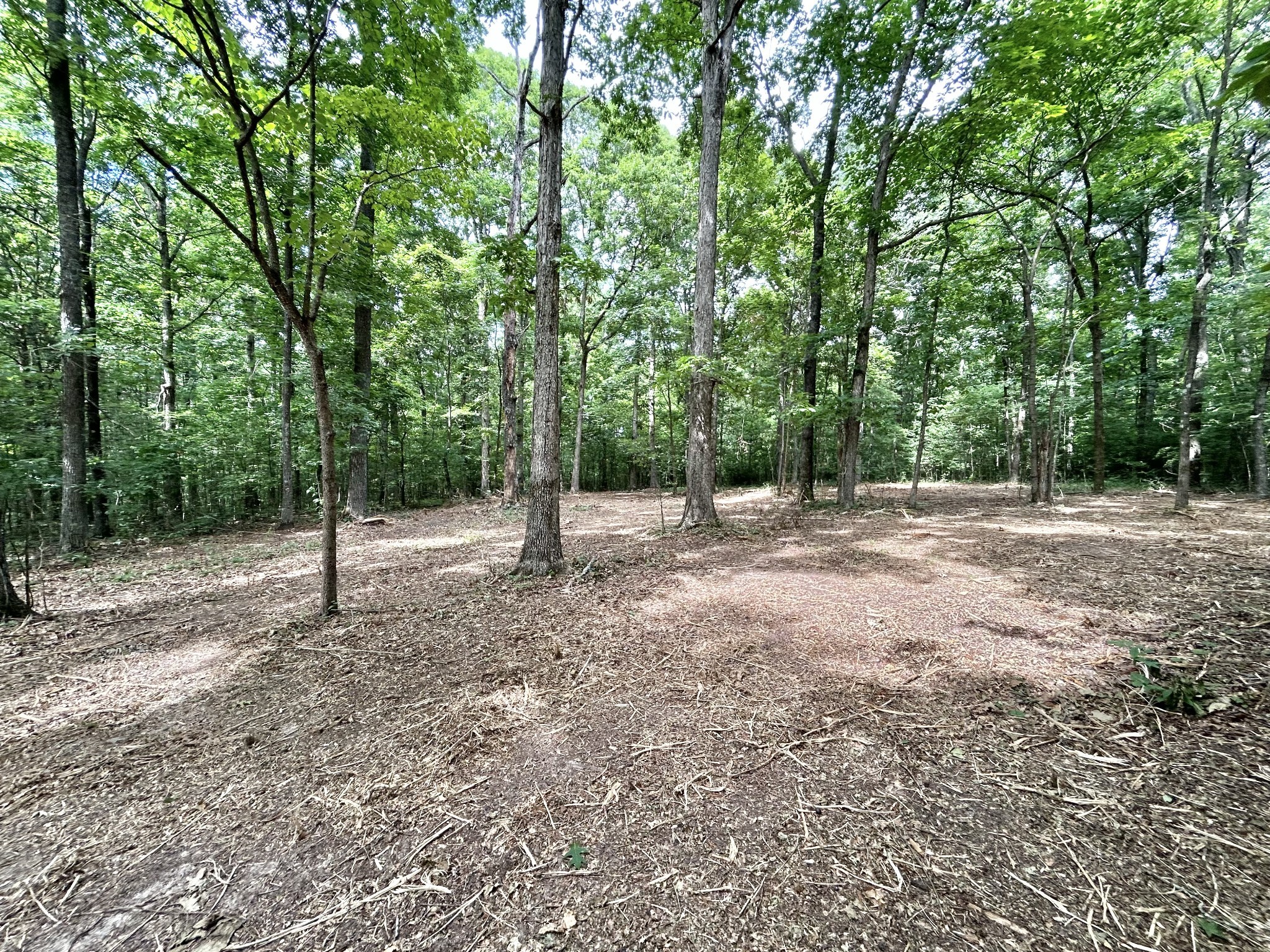 3 Whippoorwill Road Lebanon, TN 37090 - Photo 25 of 29